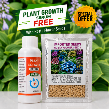🌱 Hosta Flower Seeds+Plant Growth Serum Free🎁