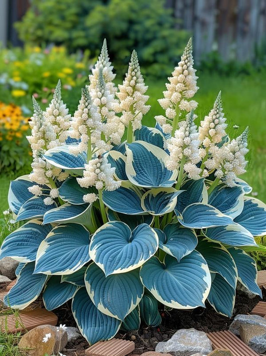 🌱 Hosta Flower Seeds+Plant Growth Serum Free🎁